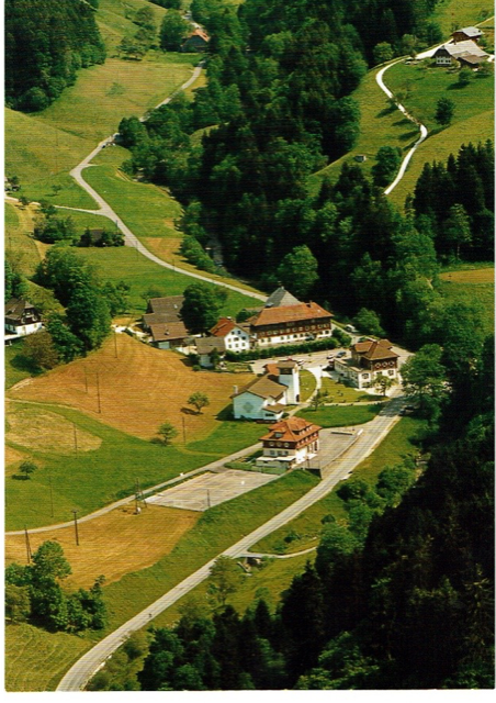 Vogelperspektive des Erziehungsheims Luthernbad. Vier Gebäude sind umbeben von Feldern und einem kleinen Stück Wald.